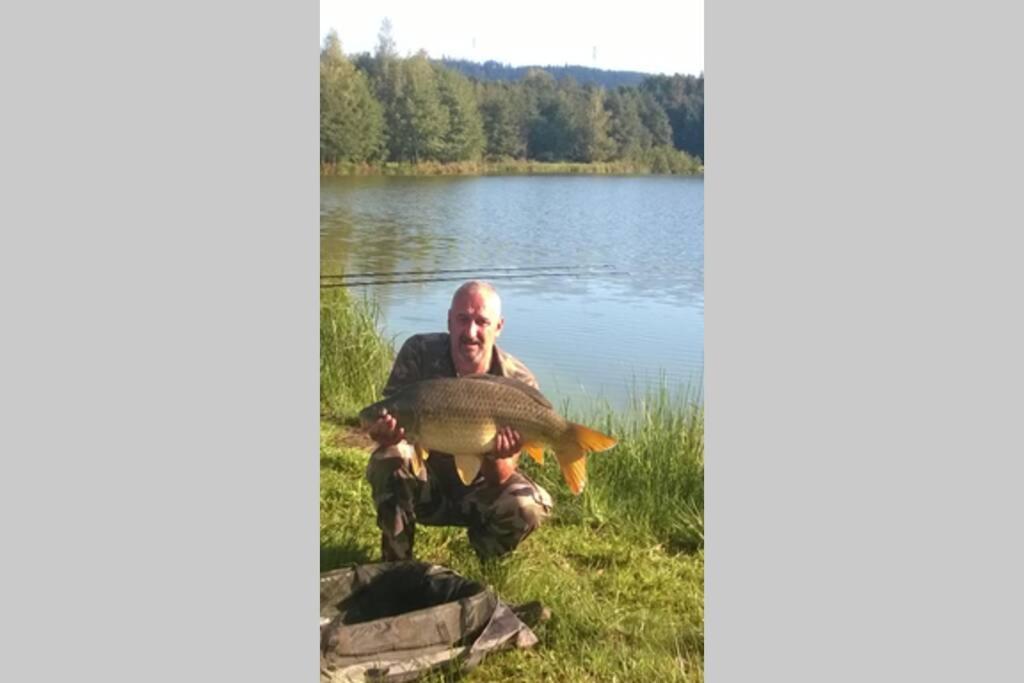 Les Gites De L Etang :Studio A 20 Mn De Gerardmer La Chapelle  Extérieur photo