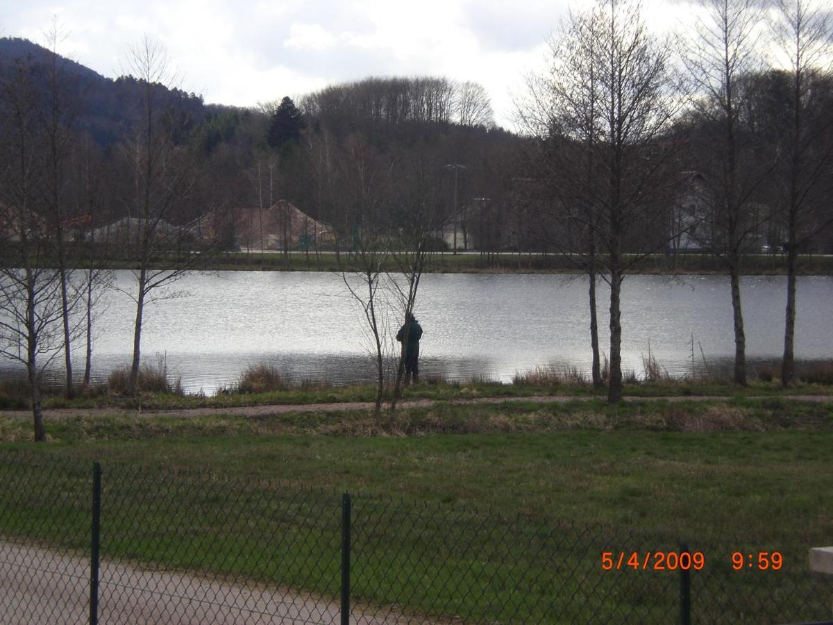 Les Gites De L Etang :Studio A 20 Mn De Gerardmer La Chapelle  Extérieur photo